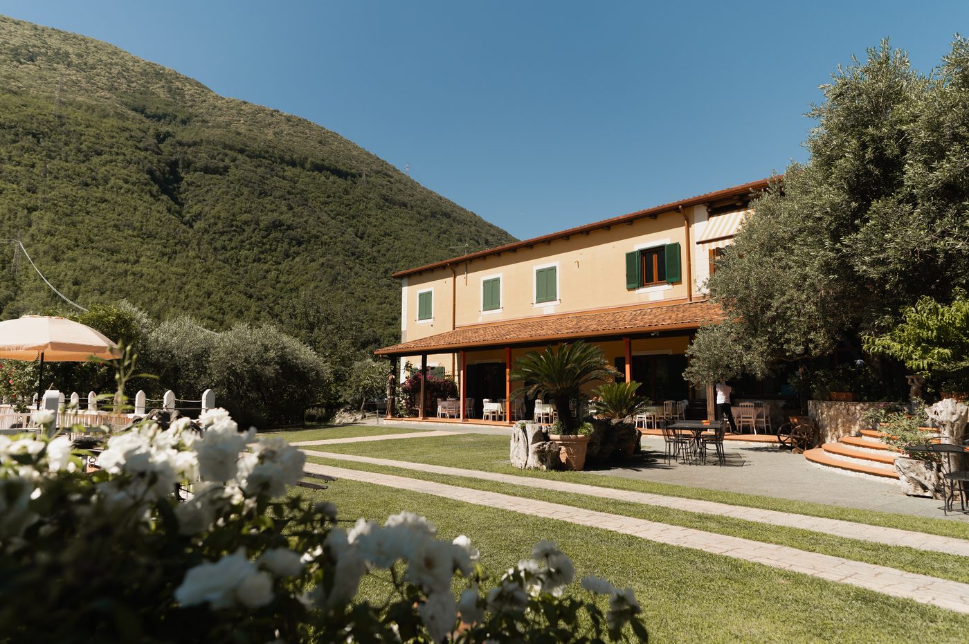 Tenuta Il Uliveto — Azienda Agrituristica