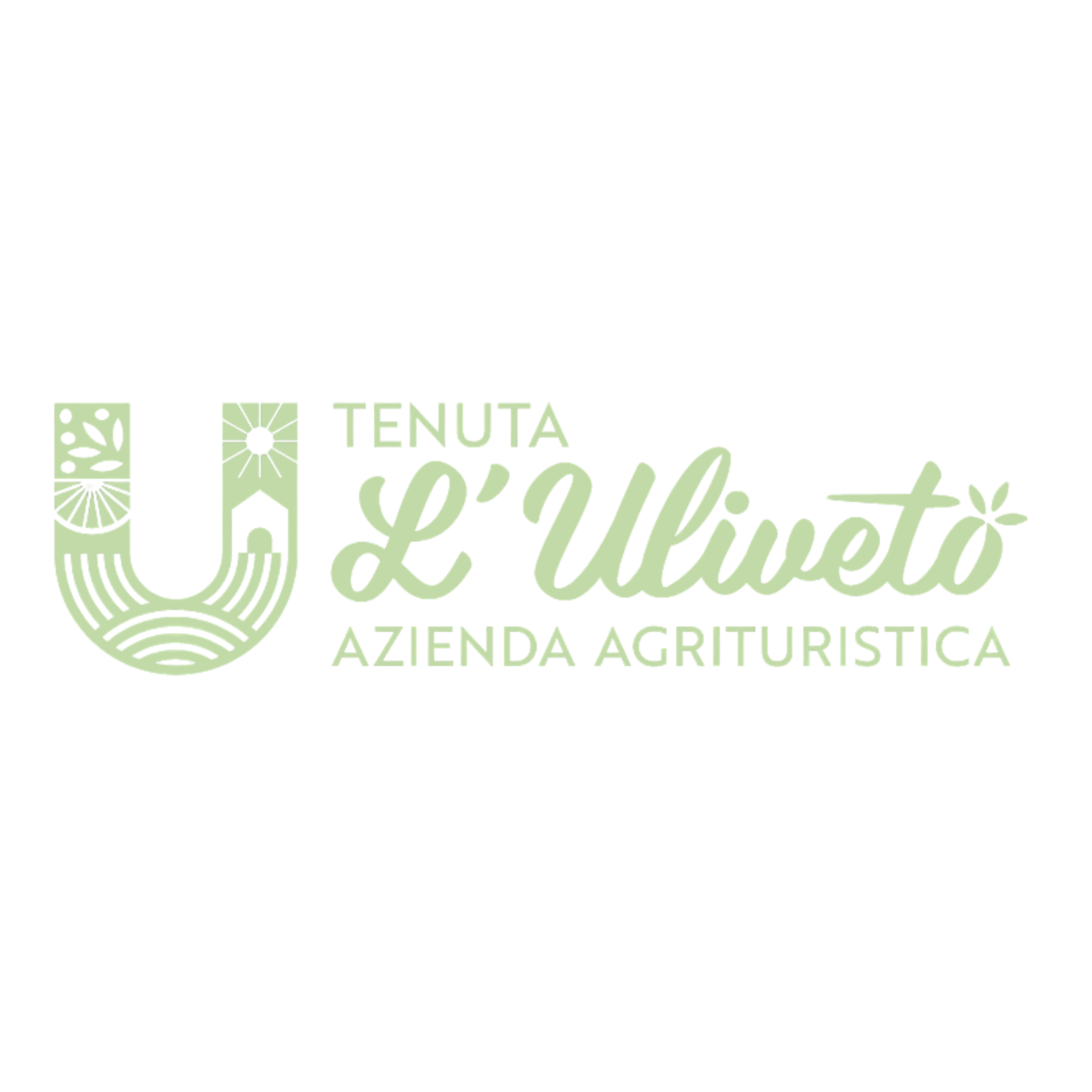 Tenuta Il Uliveto